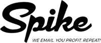 spike logo 2024 200x - Spike - Data Cleansing Process
